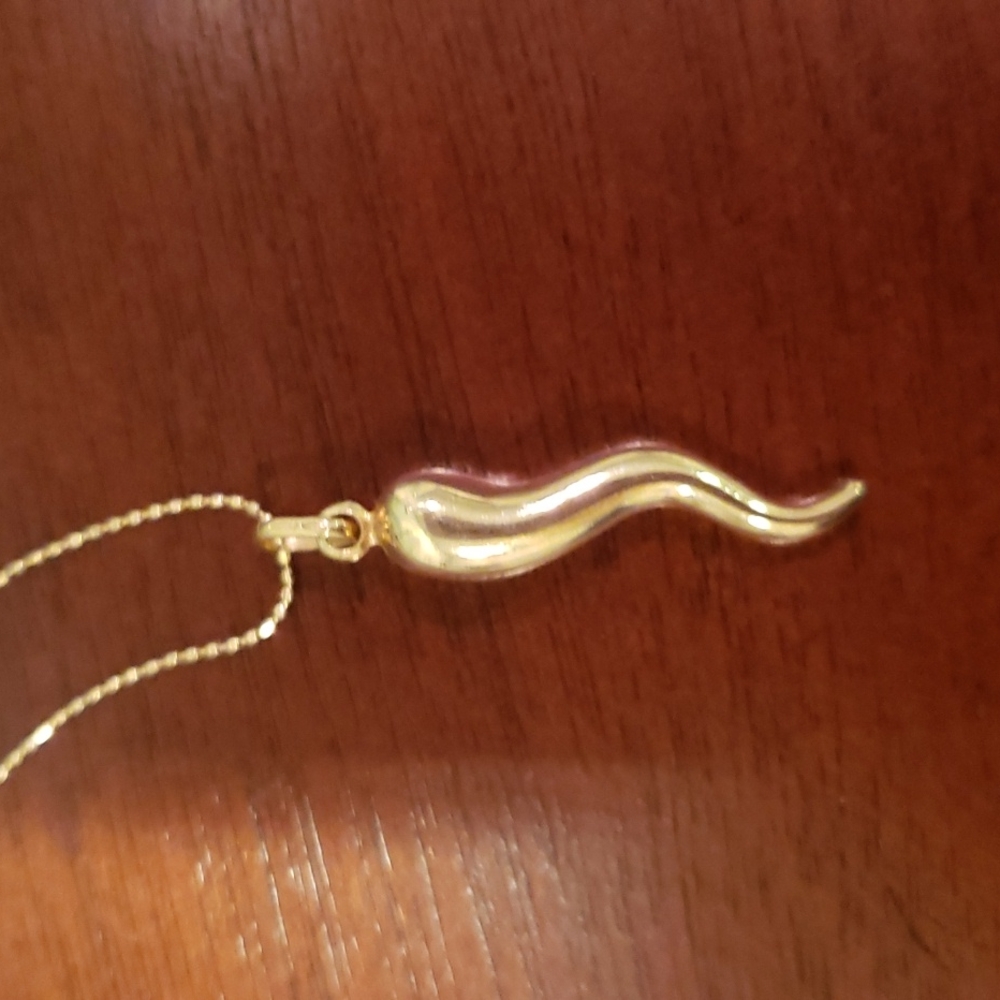 18k yellow gold Italian Horn necklace